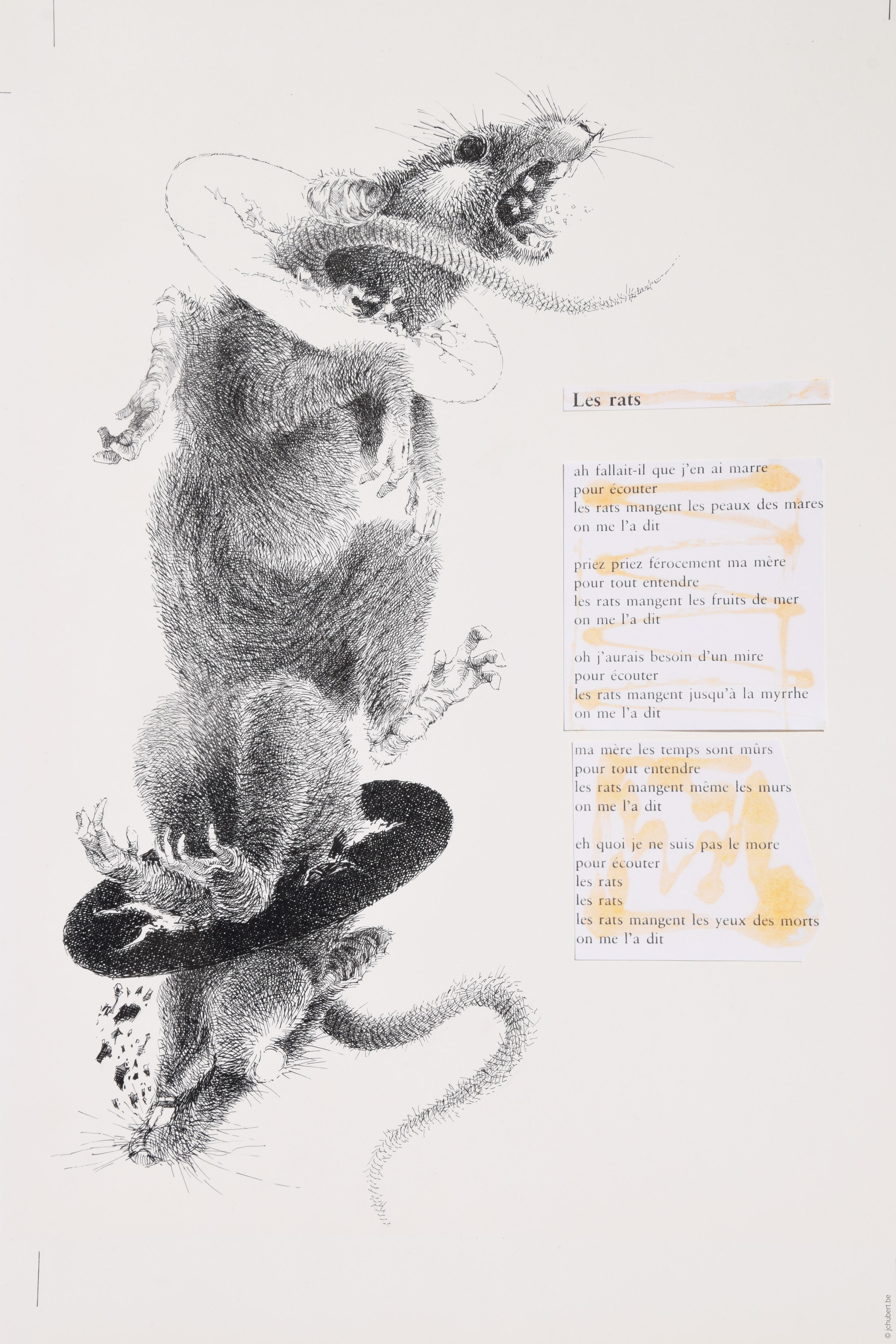 B-014--bestiaire--260--350--nb--figuratif--plume_encre--bestiaire--P2--1985.jpg