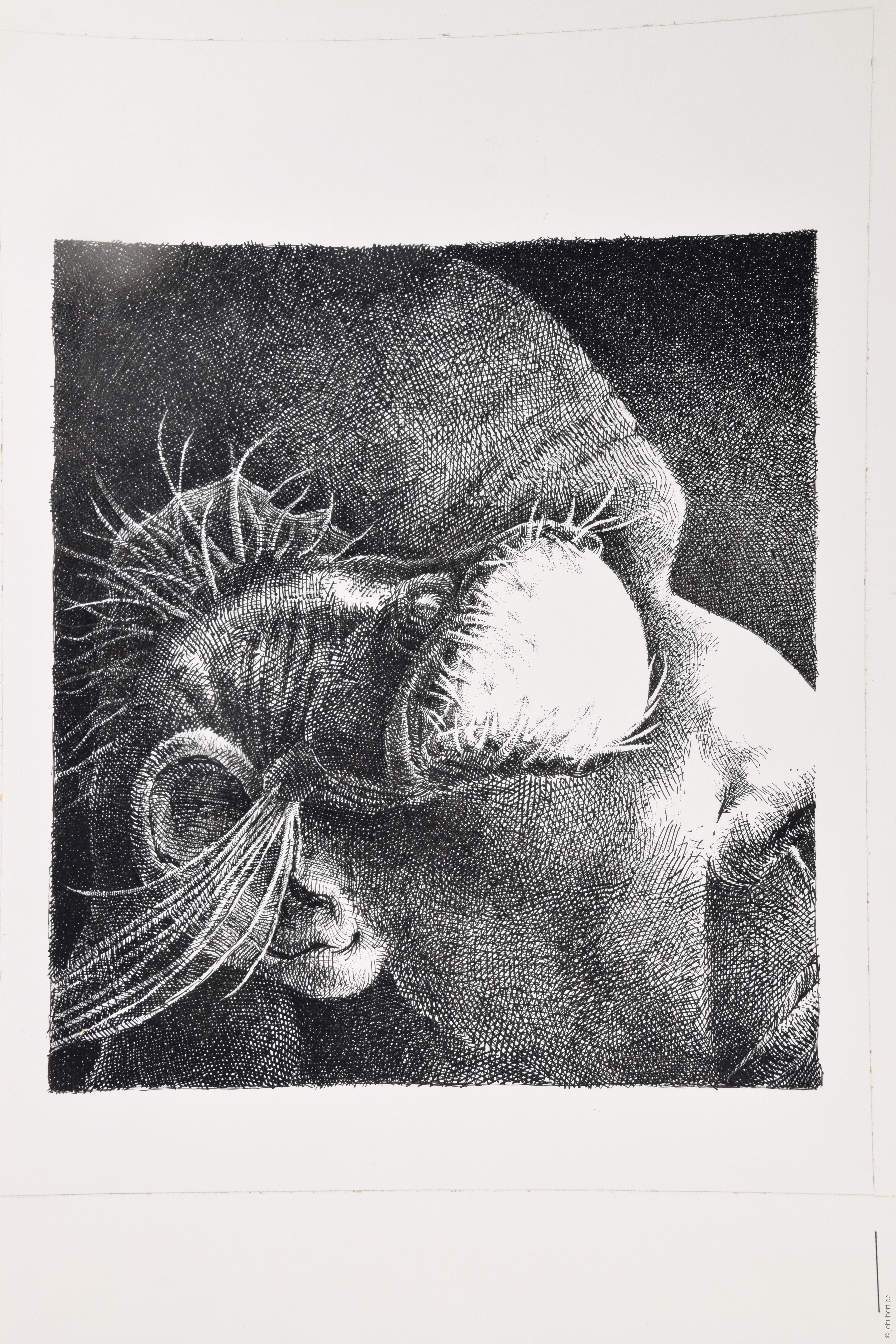 B-015--bestiaire--260--350--nb--figuratif--plume_encre--bestiaire--P2--1985.jpg