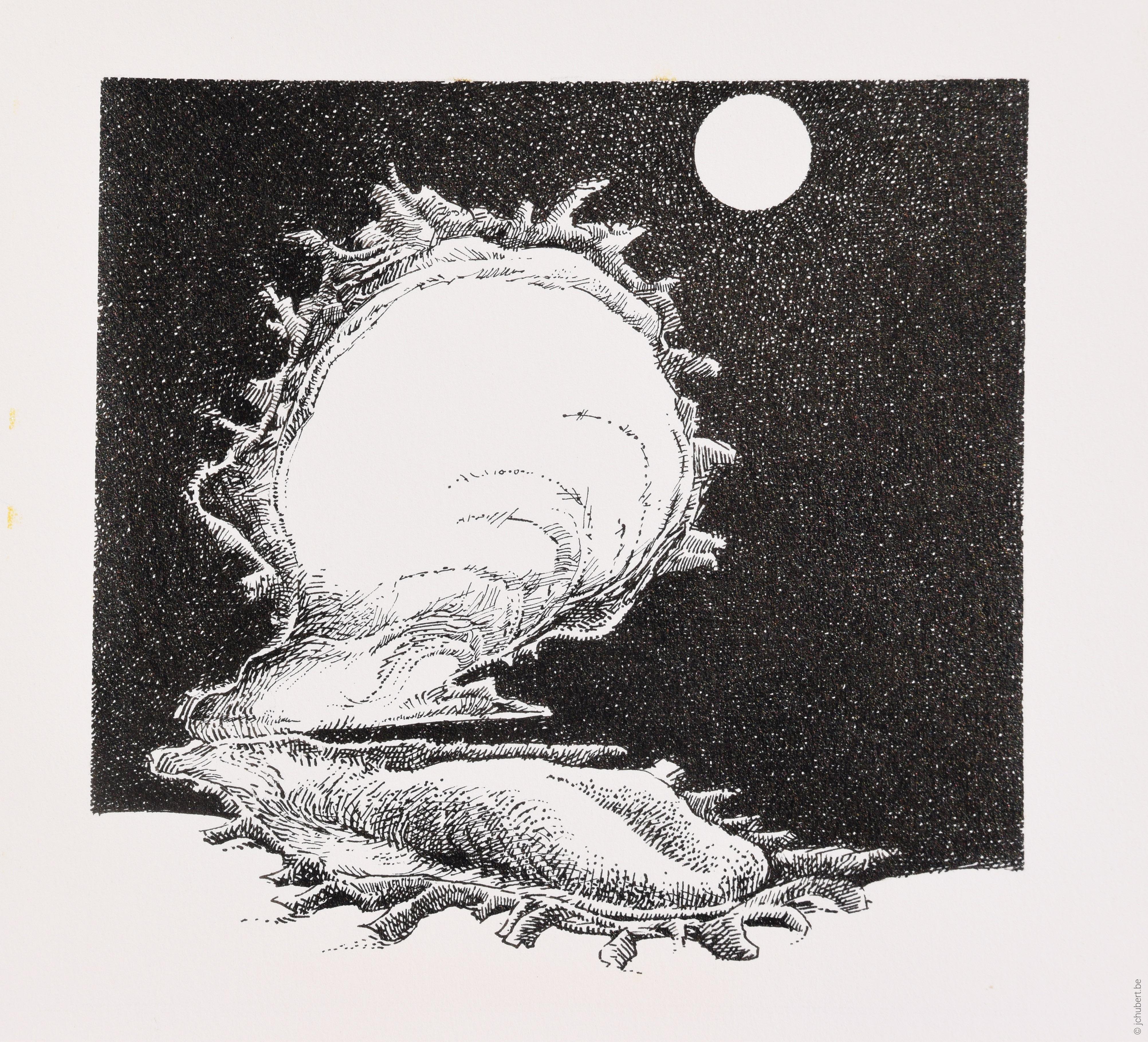 B-022--bestiaire--130--130--nb--figuratif--plume_encre--bestiaire--P2--1985.jpg