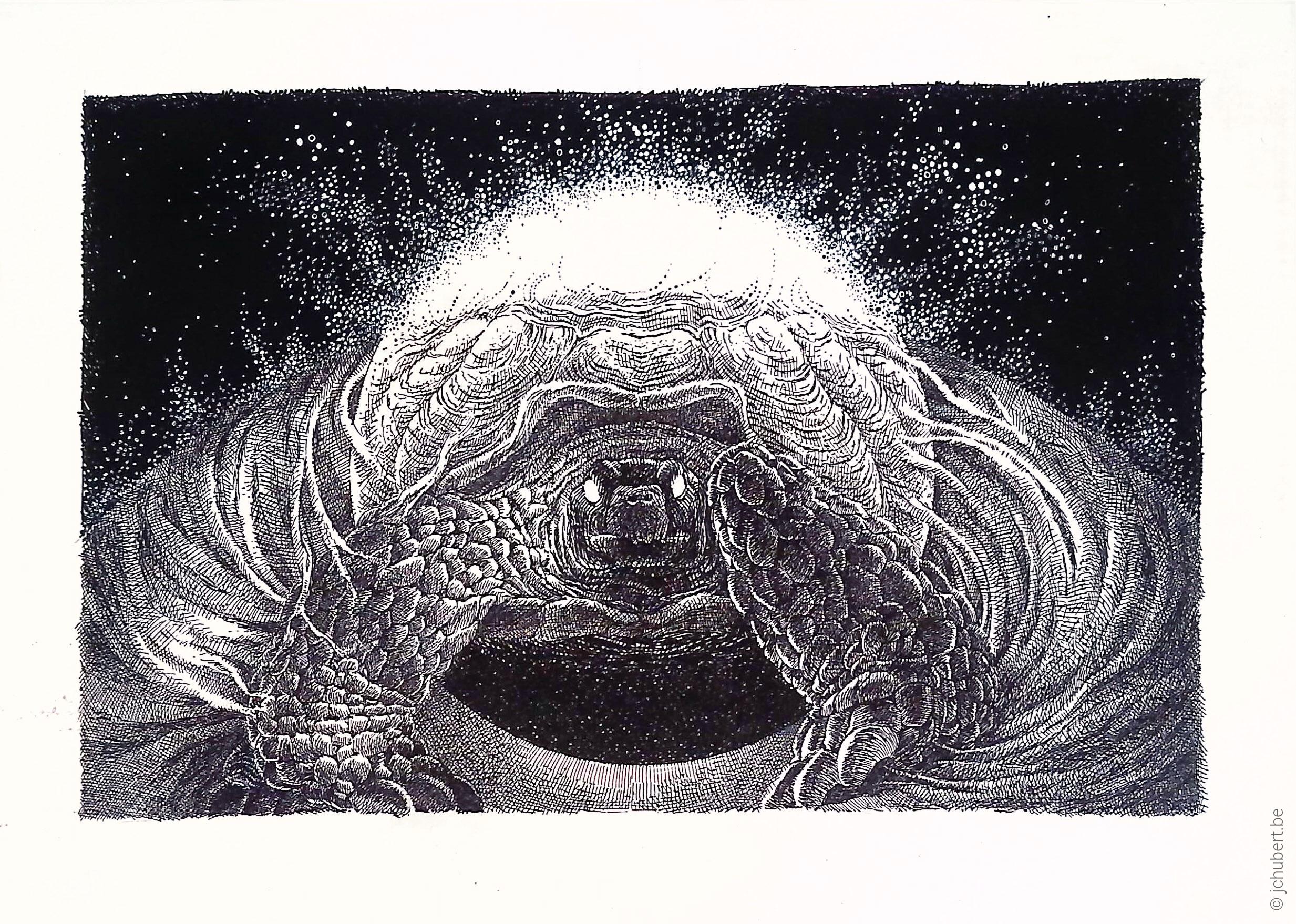 B-026--bestiaire--275--200--nb--figuratif--plume_encre--bestiaire--P2--1985.jpg