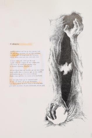 B-018--bestiaire--265--350--nb--figuratif--plume_encre--bestiaire--P2--1985.jpg